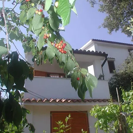 Stinjan-studio Petric Apartman